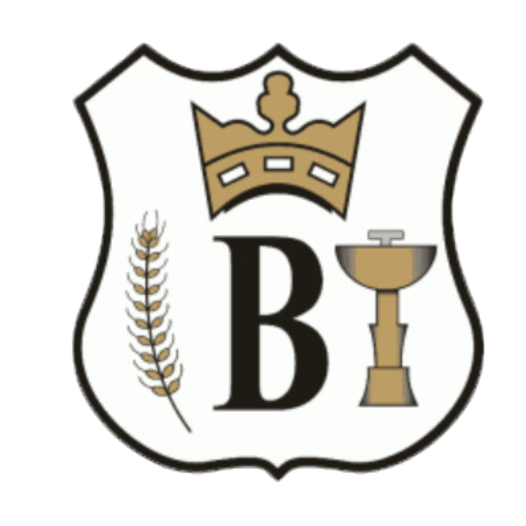 Diseño sin título (25)